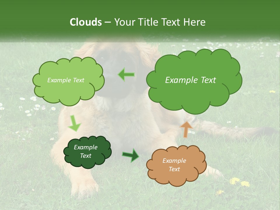 A Large Brown Dog Laying On Top Of A Lush Green Field PowerPoint Template