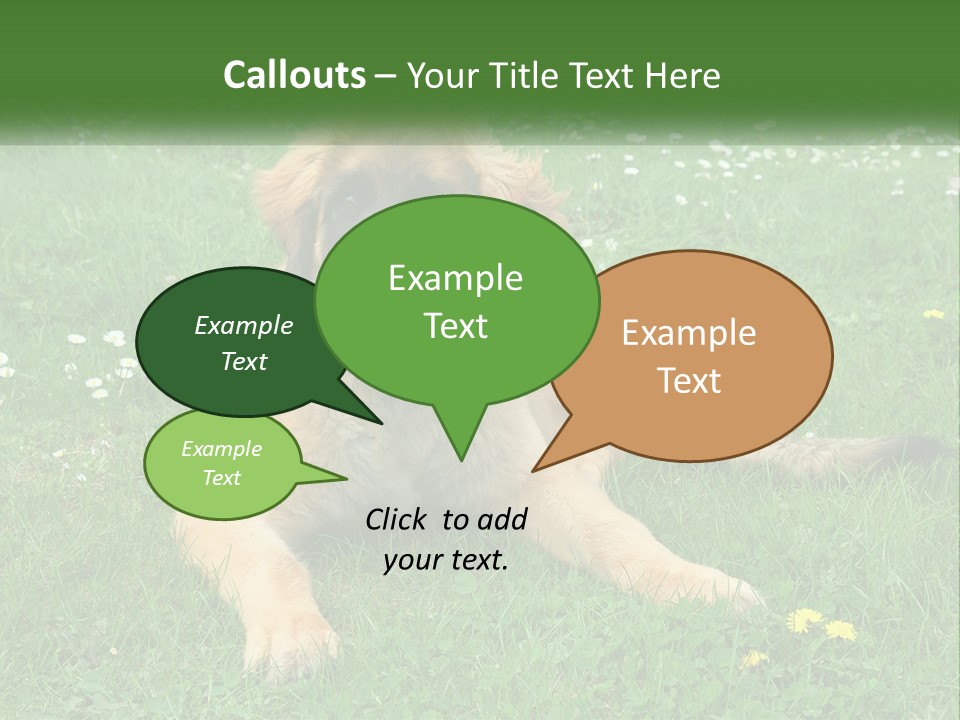 A Large Brown Dog Laying On Top Of A Lush Green Field PowerPoint Template