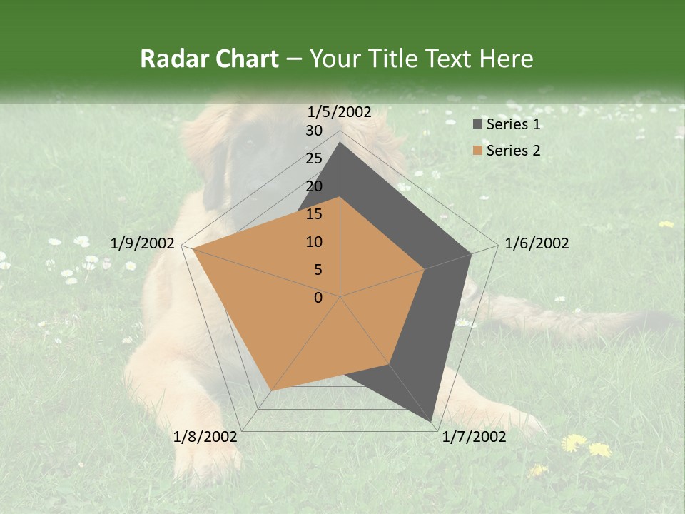 A Large Brown Dog Laying On Top Of A Lush Green Field PowerPoint Template
