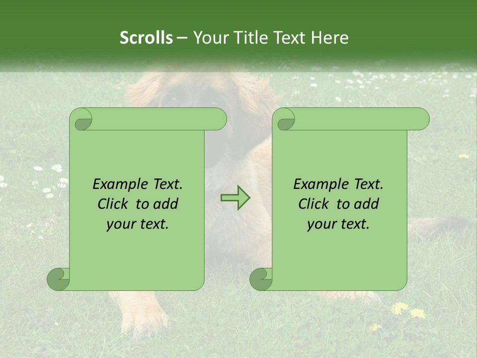 A Large Brown Dog Laying On Top Of A Lush Green Field PowerPoint Template