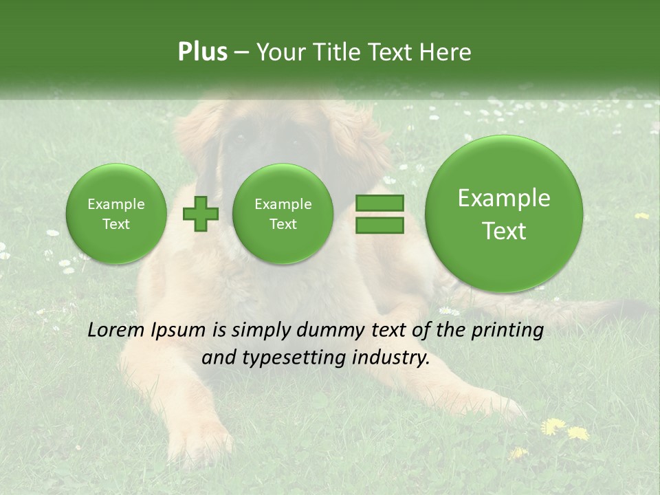 A Large Brown Dog Laying On Top Of A Lush Green Field PowerPoint Template