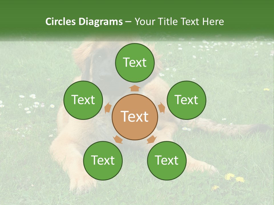 A Large Brown Dog Laying On Top Of A Lush Green Field PowerPoint Template