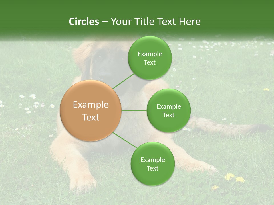 A Large Brown Dog Laying On Top Of A Lush Green Field PowerPoint Template