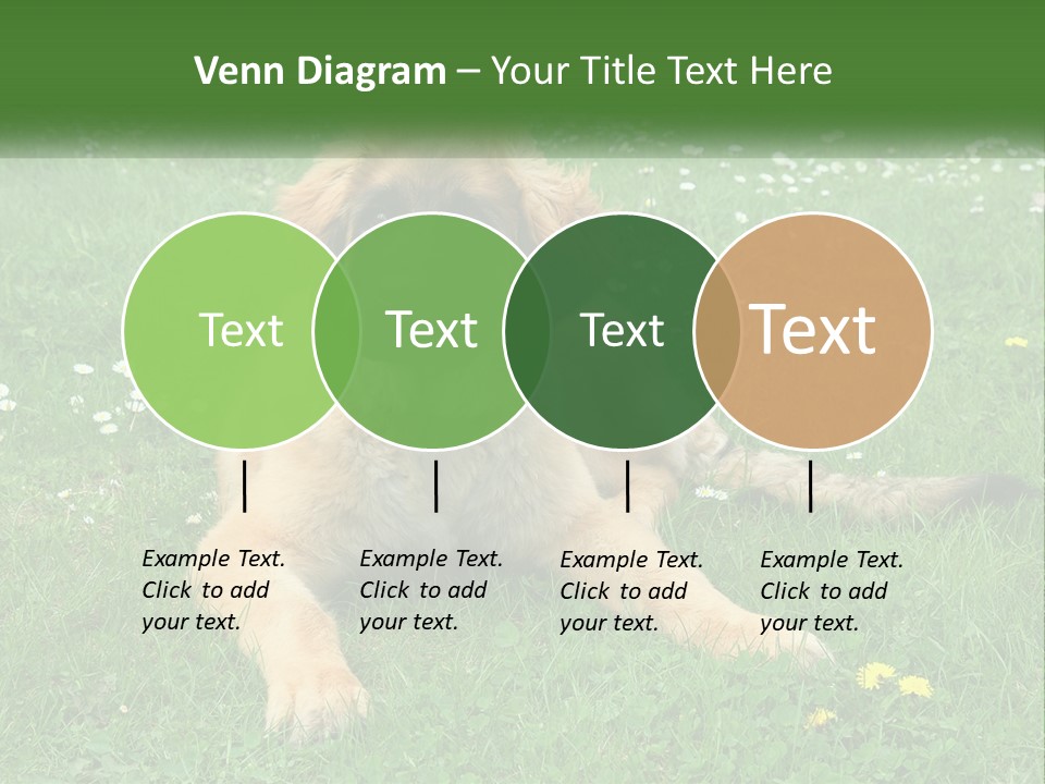 A Large Brown Dog Laying On Top Of A Lush Green Field PowerPoint Template