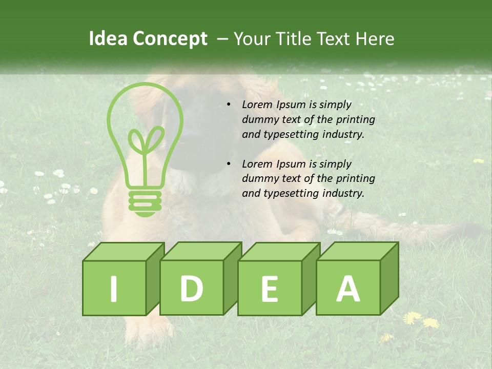 A Large Brown Dog Laying On Top Of A Lush Green Field PowerPoint Template