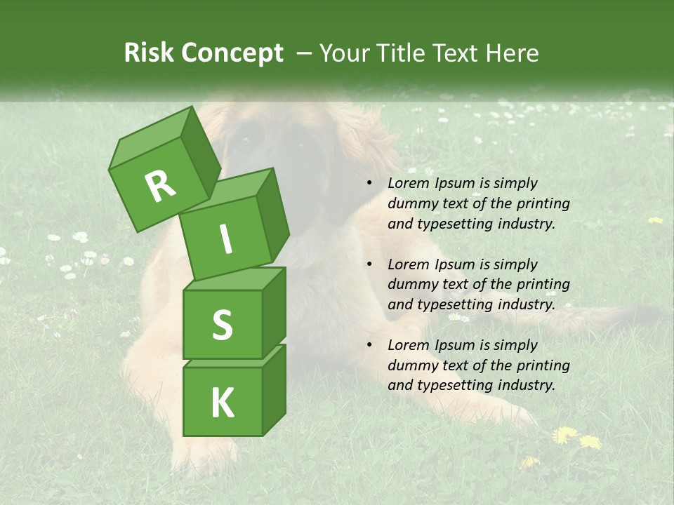 A Large Brown Dog Laying On Top Of A Lush Green Field PowerPoint Template
