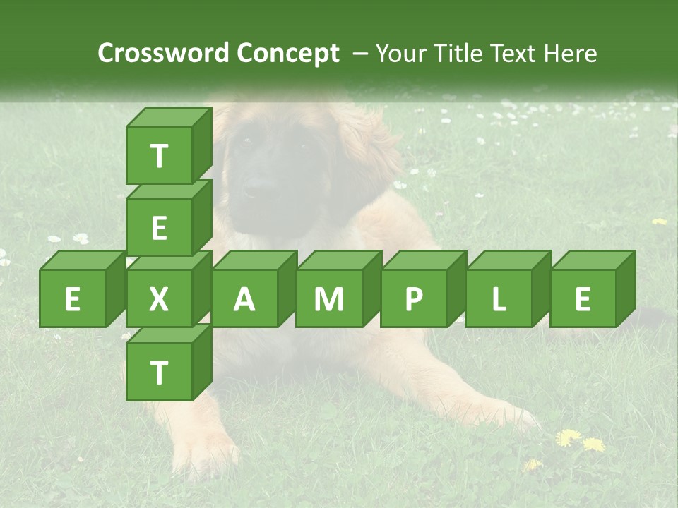 A Large Brown Dog Laying On Top Of A Lush Green Field PowerPoint Template