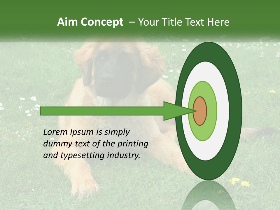 A Large Brown Dog Laying On Top Of A Lush Green Field PowerPoint Template