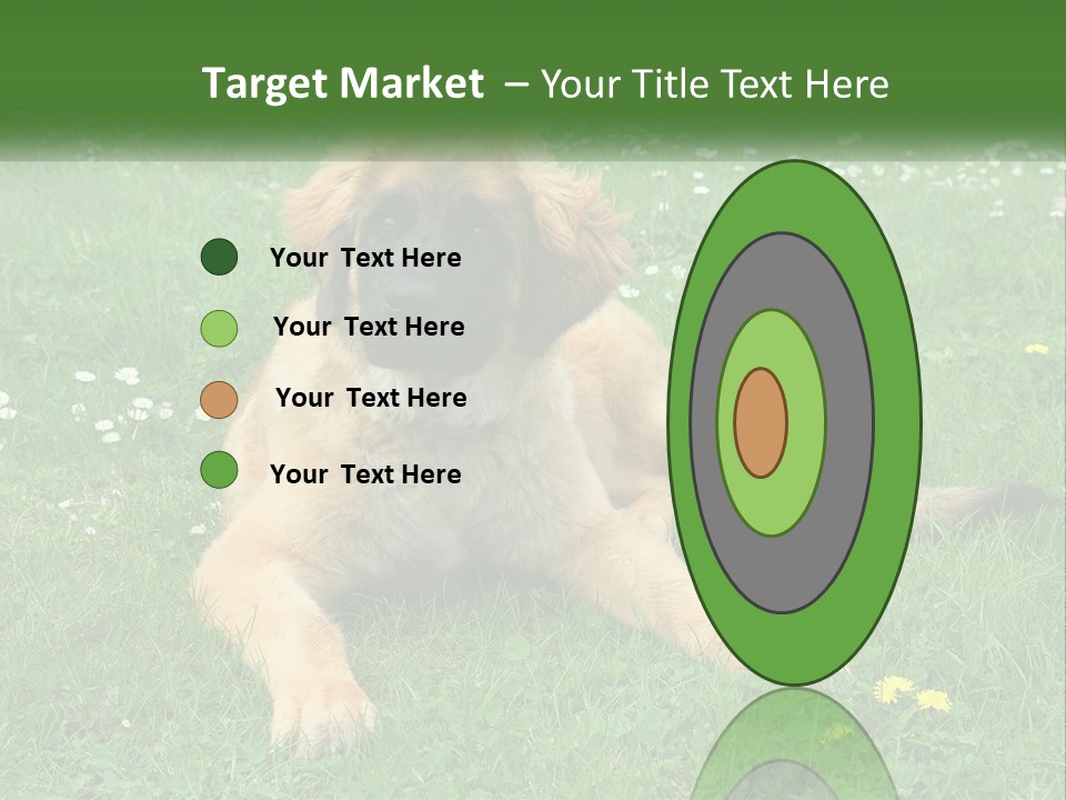 A Large Brown Dog Laying On Top Of A Lush Green Field PowerPoint Template