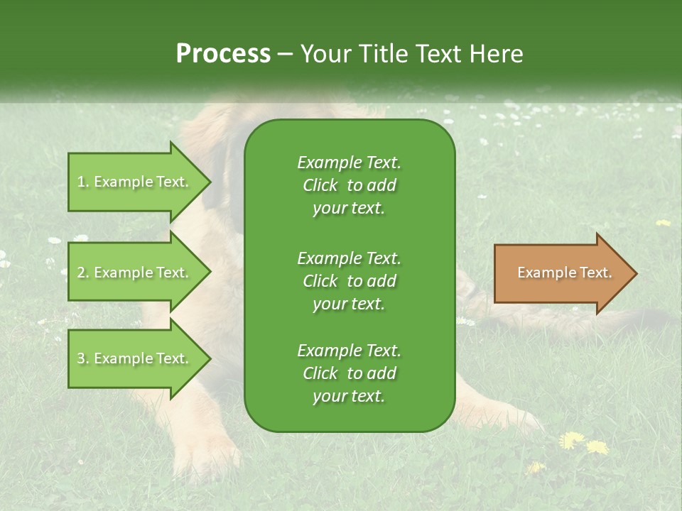 A Large Brown Dog Laying On Top Of A Lush Green Field PowerPoint Template