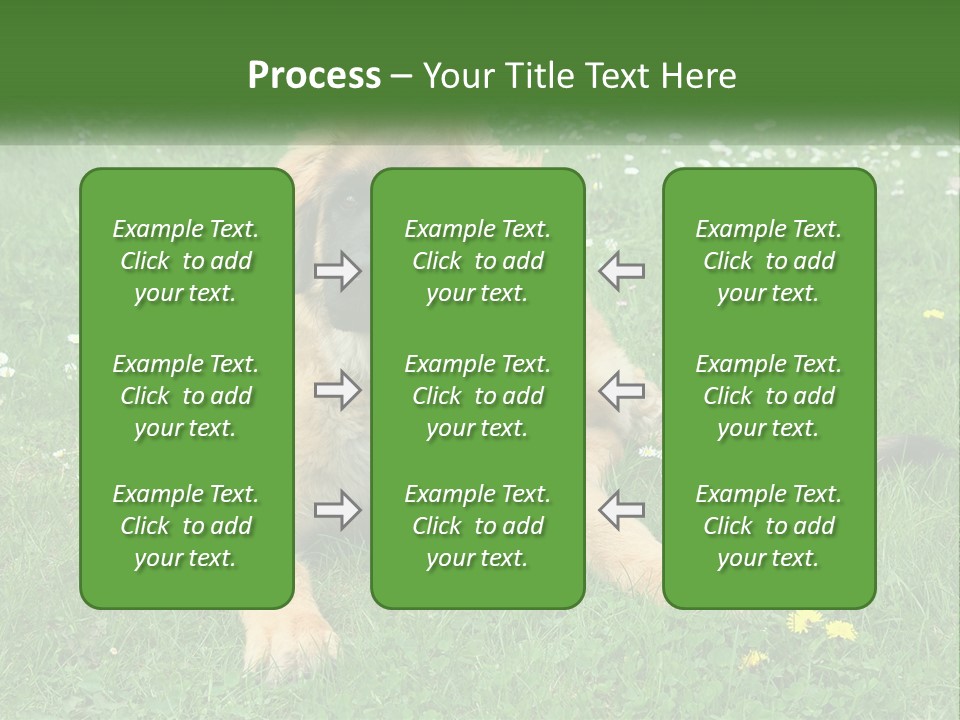 A Large Brown Dog Laying On Top Of A Lush Green Field PowerPoint Template