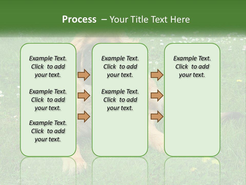 A Large Brown Dog Laying On Top Of A Lush Green Field PowerPoint Template