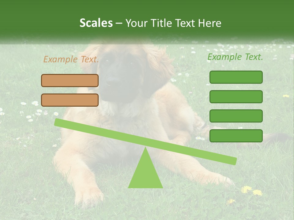 A Large Brown Dog Laying On Top Of A Lush Green Field PowerPoint Template