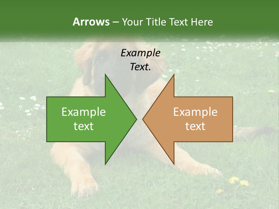 A Large Brown Dog Laying On Top Of A Lush Green Field PowerPoint Template