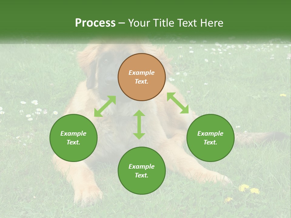 A Large Brown Dog Laying On Top Of A Lush Green Field PowerPoint Template
