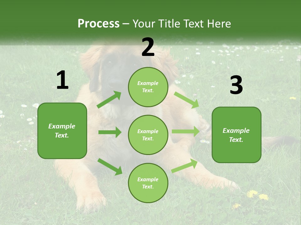 A Large Brown Dog Laying On Top Of A Lush Green Field PowerPoint Template