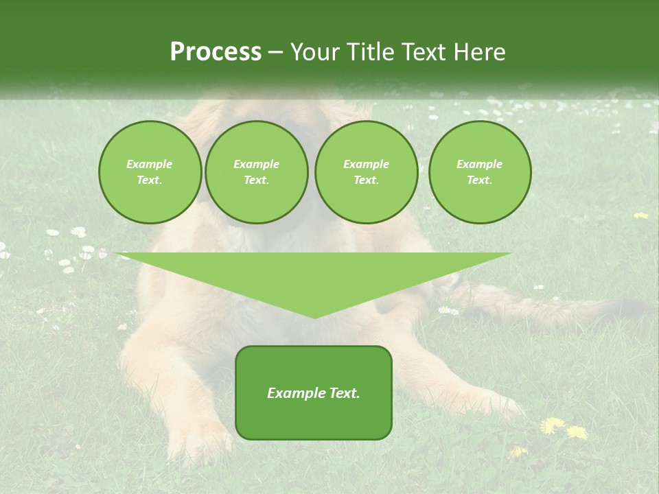 A Large Brown Dog Laying On Top Of A Lush Green Field PowerPoint Template