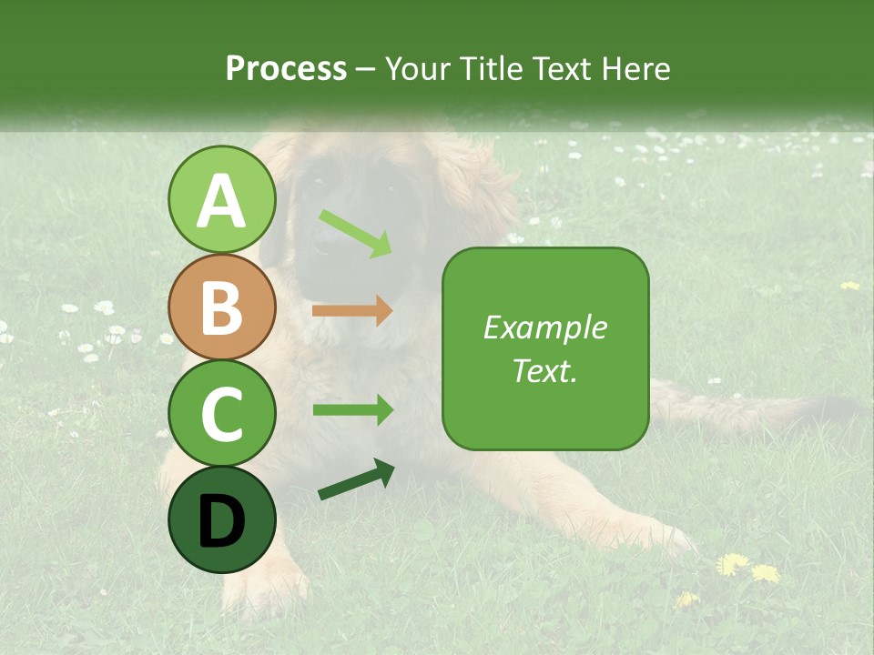 A Large Brown Dog Laying On Top Of A Lush Green Field PowerPoint Template