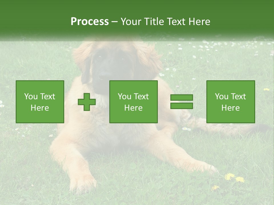 A Large Brown Dog Laying On Top Of A Lush Green Field PowerPoint Template