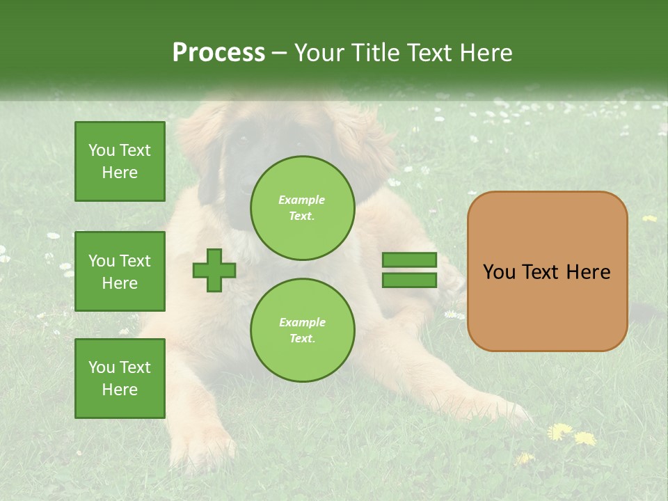 A Large Brown Dog Laying On Top Of A Lush Green Field PowerPoint Template
