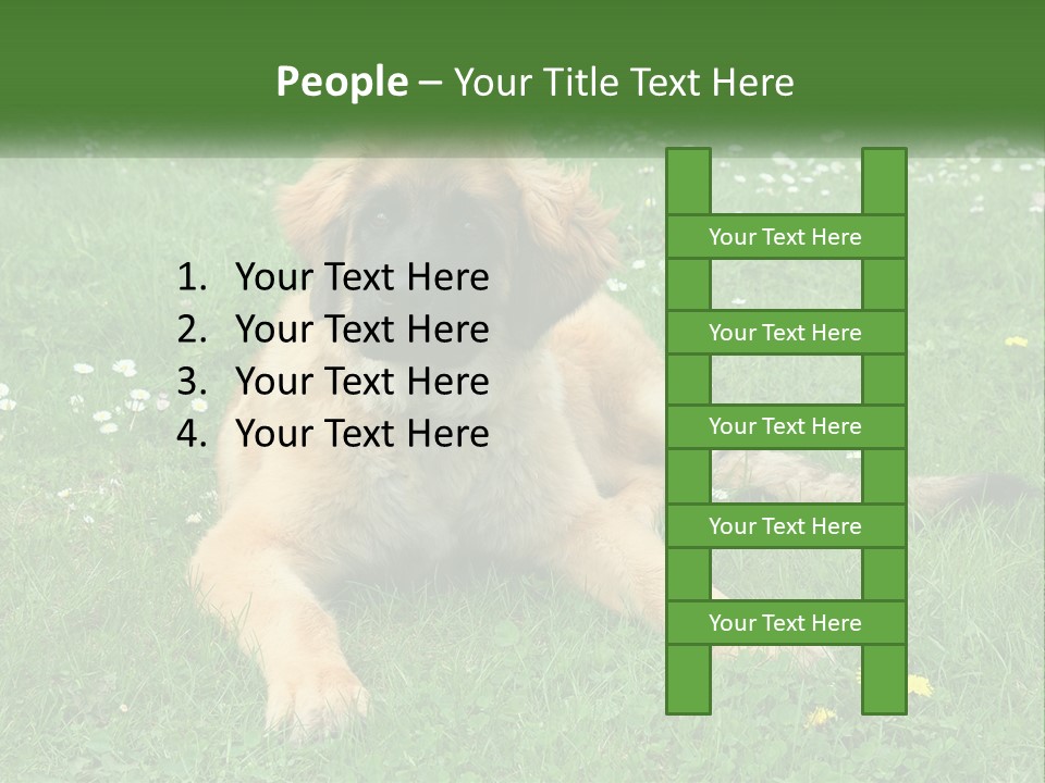 A Large Brown Dog Laying On Top Of A Lush Green Field PowerPoint Template