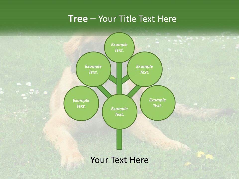 A Large Brown Dog Laying On Top Of A Lush Green Field PowerPoint Template