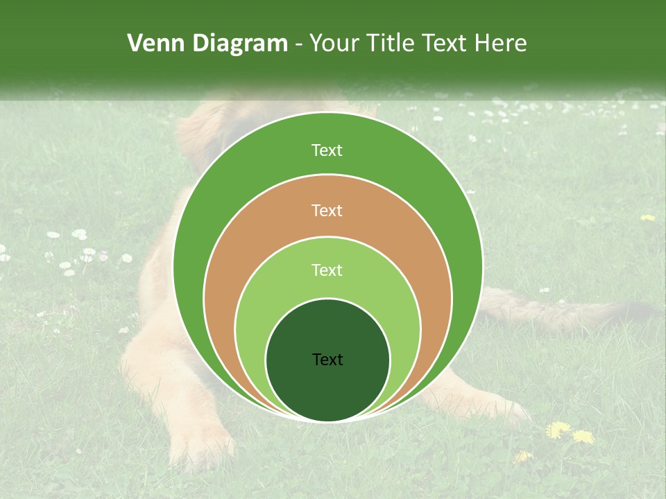 A Large Brown Dog Laying On Top Of A Lush Green Field PowerPoint Template