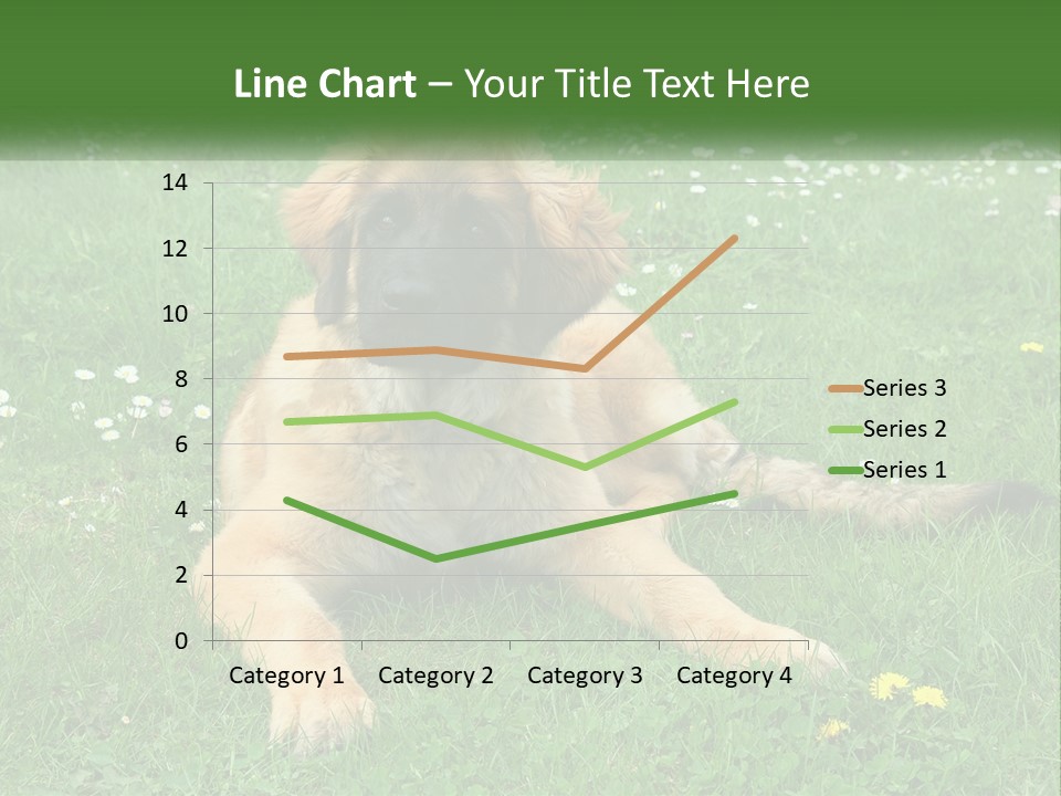 A Large Brown Dog Laying On Top Of A Lush Green Field PowerPoint Template