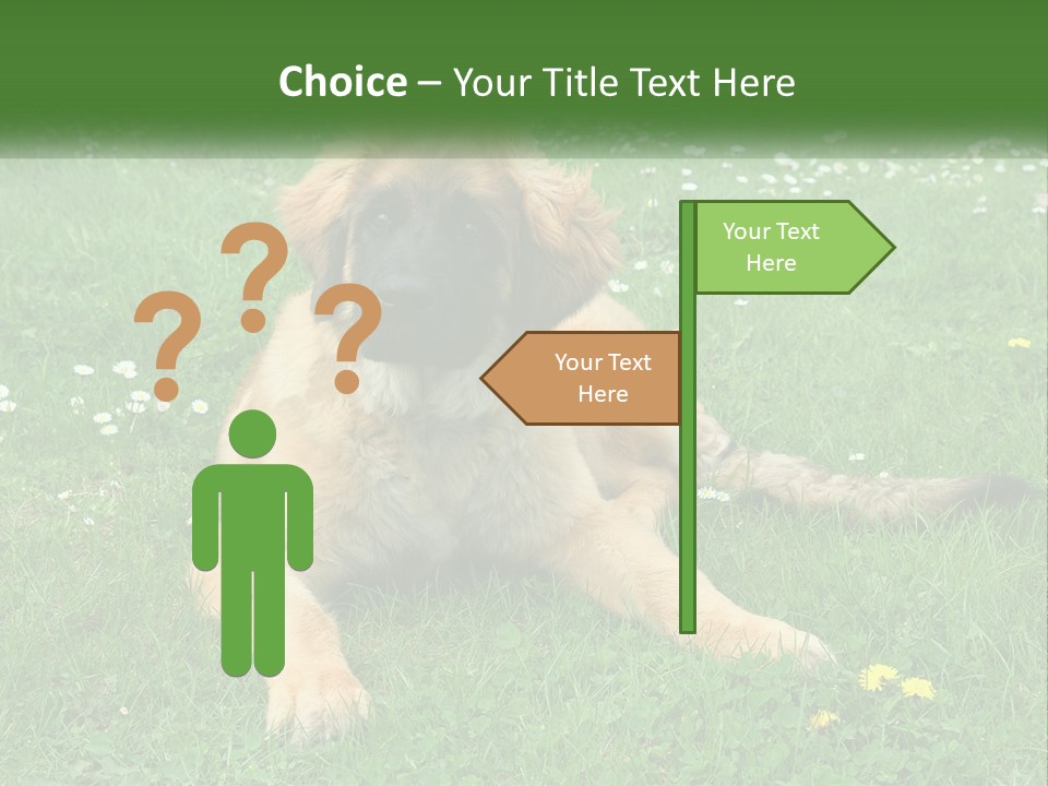 A Large Brown Dog Laying On Top Of A Lush Green Field PowerPoint Template