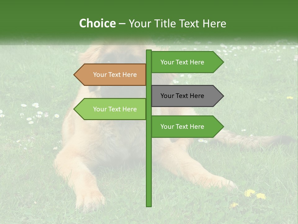 A Large Brown Dog Laying On Top Of A Lush Green Field PowerPoint Template