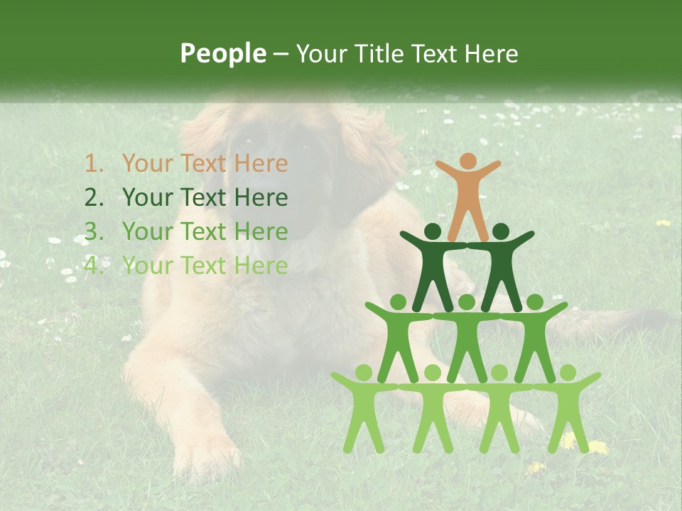 A Large Brown Dog Laying On Top Of A Lush Green Field PowerPoint Template