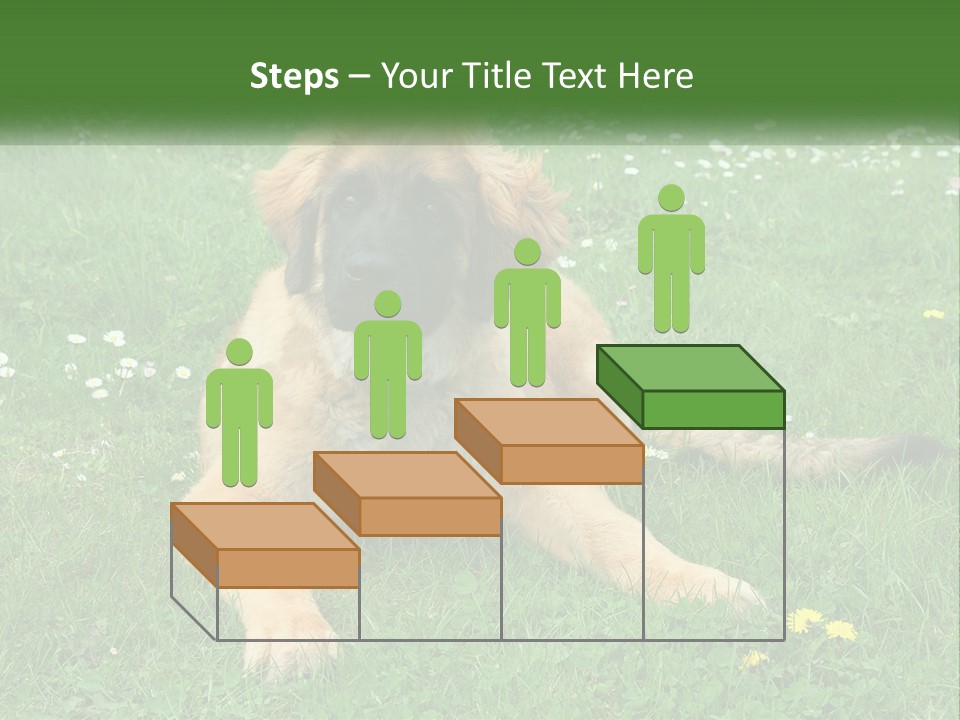 A Large Brown Dog Laying On Top Of A Lush Green Field PowerPoint Template