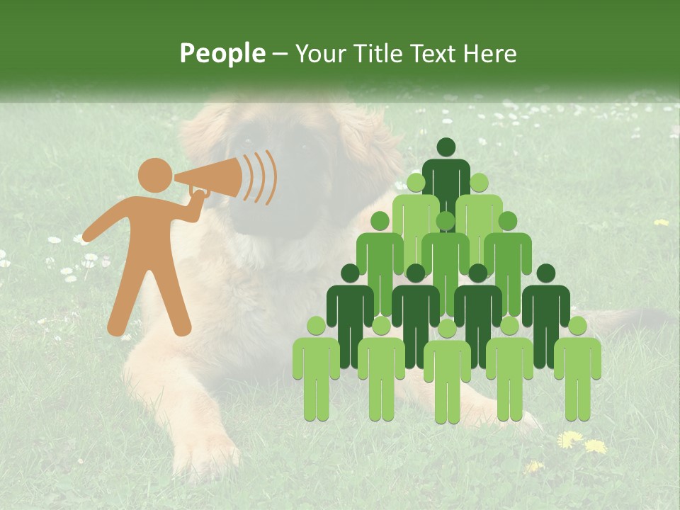 A Large Brown Dog Laying On Top Of A Lush Green Field PowerPoint Template