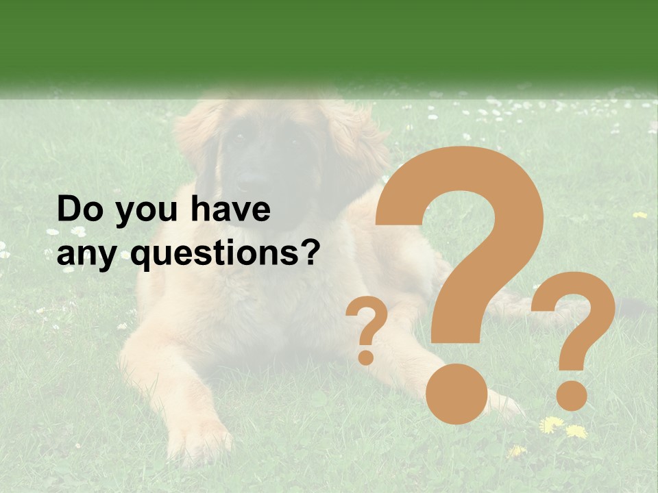A Large Brown Dog Laying On Top Of A Lush Green Field PowerPoint Template