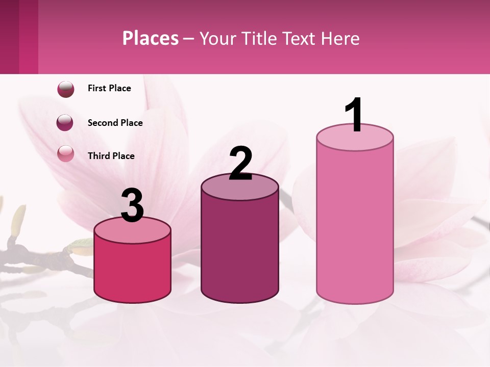 Three Pink Flowers On A White Background With A Pink Border PowerPoint Template