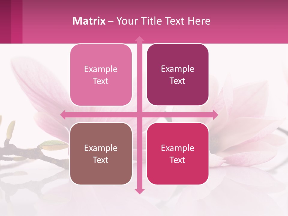 Three Pink Flowers On A White Background With A Pink Border PowerPoint Template