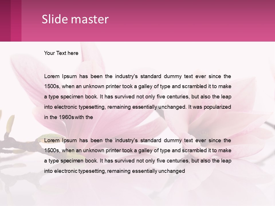 Three Pink Flowers On A White Background With A Pink Border PowerPoint Template