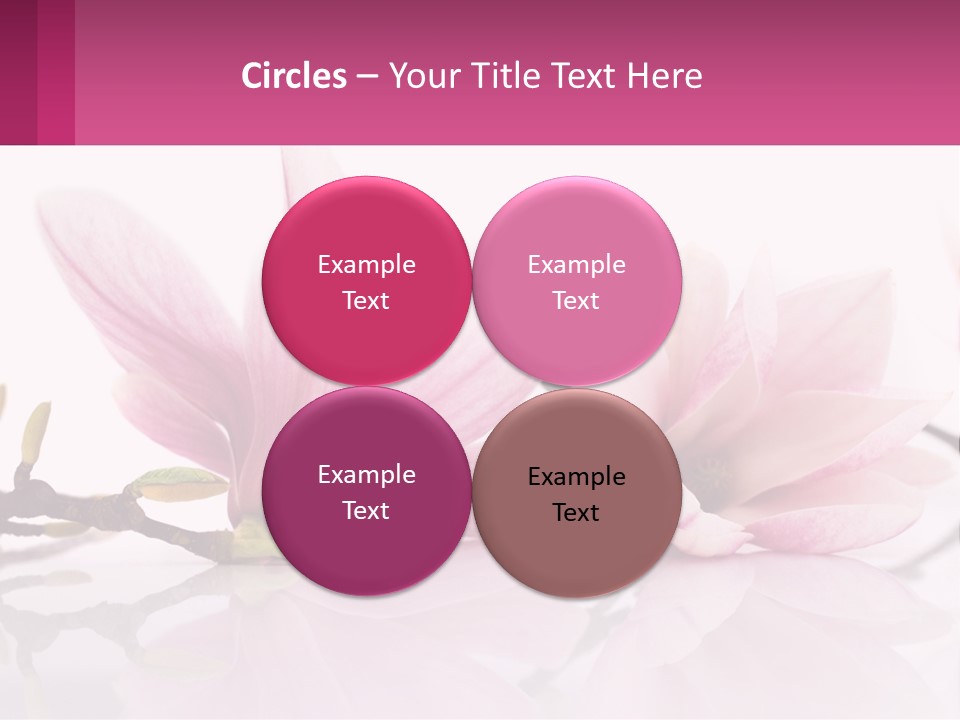 Three Pink Flowers On A White Background With A Pink Border PowerPoint Template