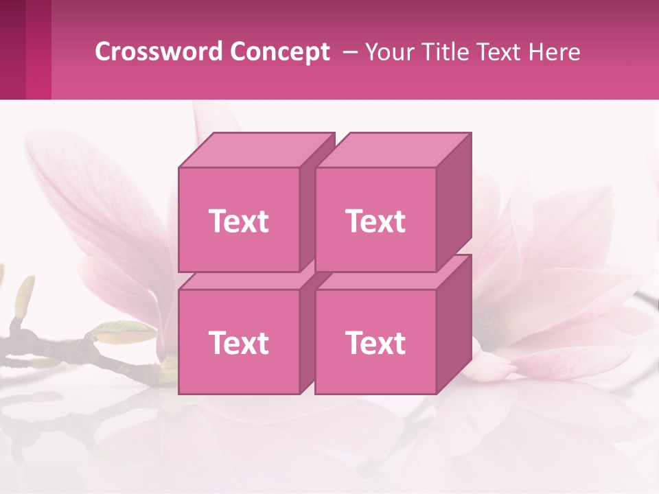 Three Pink Flowers On A White Background With A Pink Border PowerPoint Template