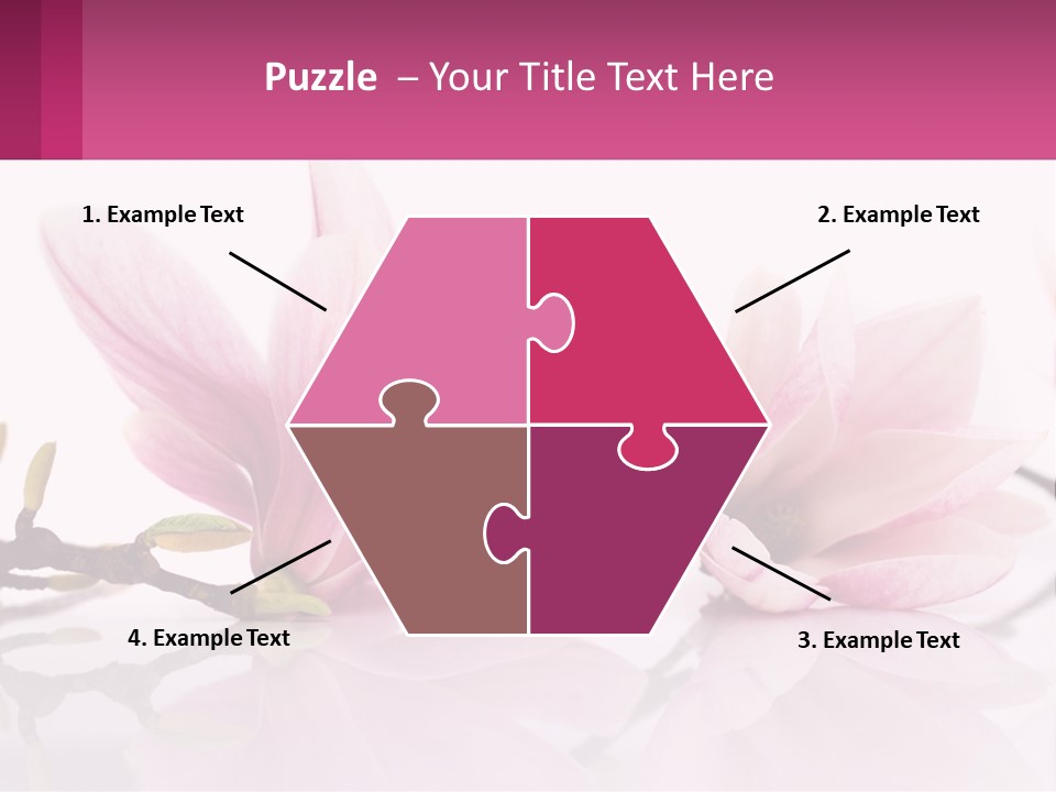 Three Pink Flowers On A White Background With A Pink Border PowerPoint Template