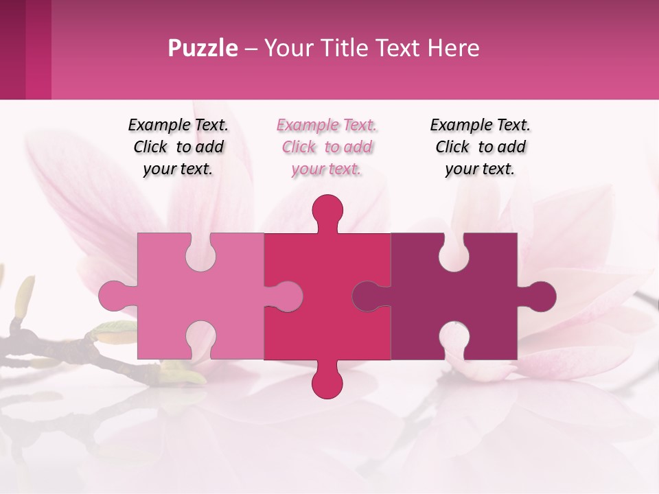 Three Pink Flowers On A White Background With A Pink Border PowerPoint Template