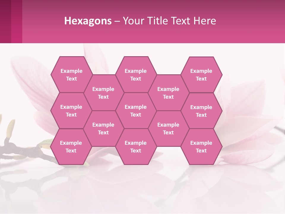 Three Pink Flowers On A White Background With A Pink Border PowerPoint Template