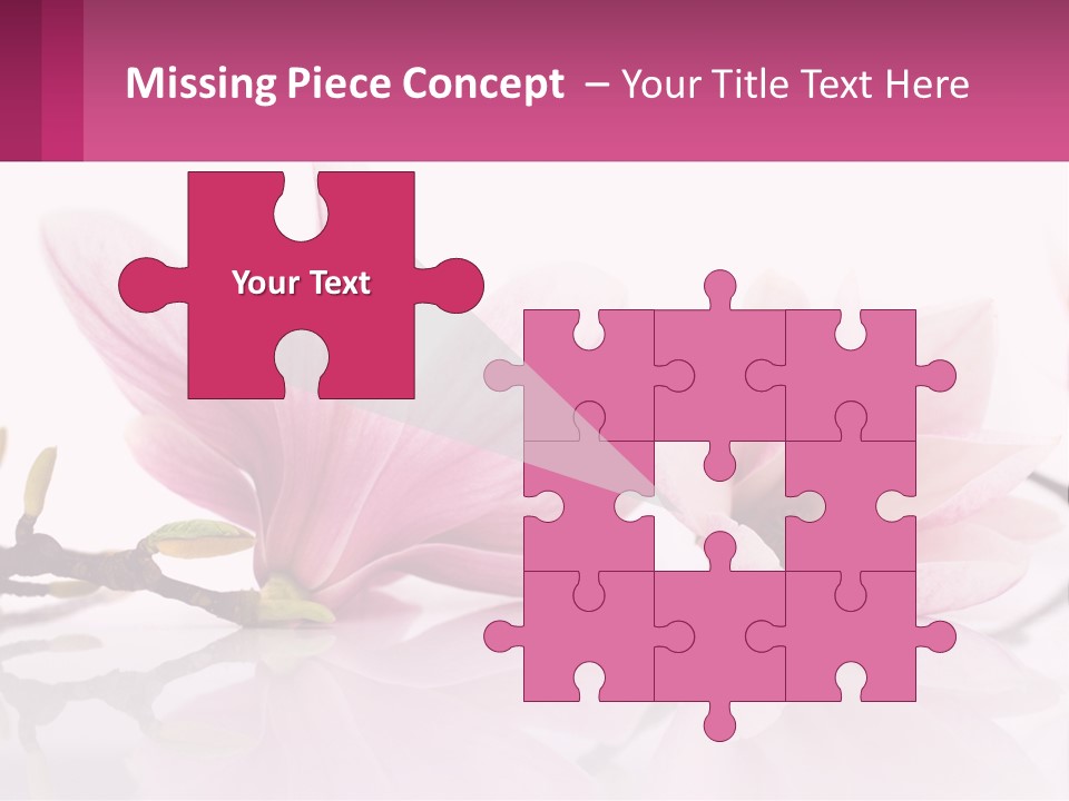 Three Pink Flowers On A White Background With A Pink Border PowerPoint Template
