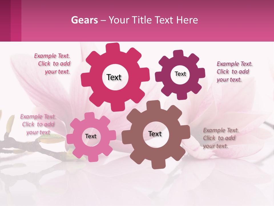 Three Pink Flowers On A White Background With A Pink Border PowerPoint Template