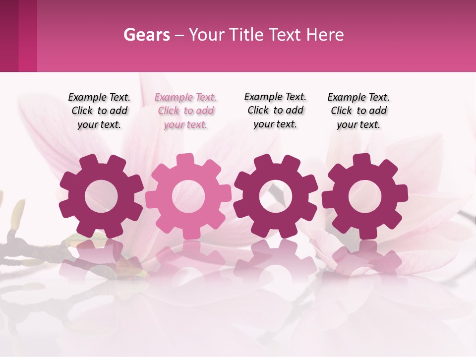 Three Pink Flowers On A White Background With A Pink Border PowerPoint Template