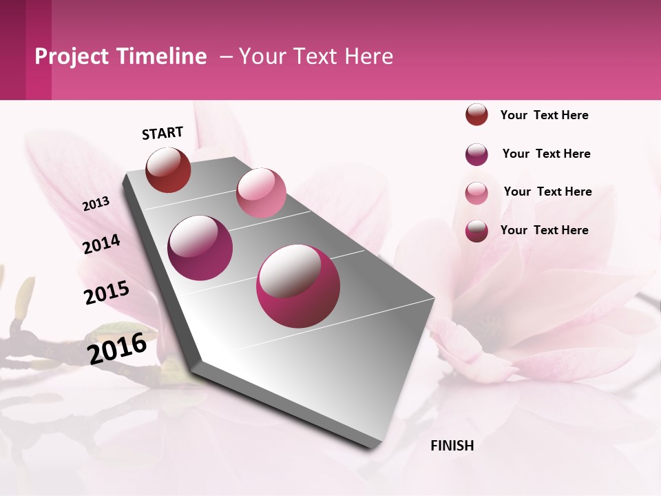 Three Pink Flowers On A White Background With A Pink Border PowerPoint Template
