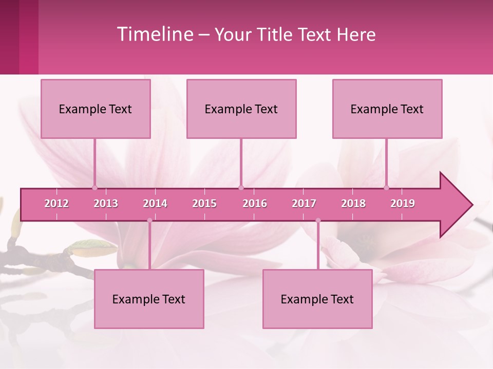 Three Pink Flowers On A White Background With A Pink Border PowerPoint Template