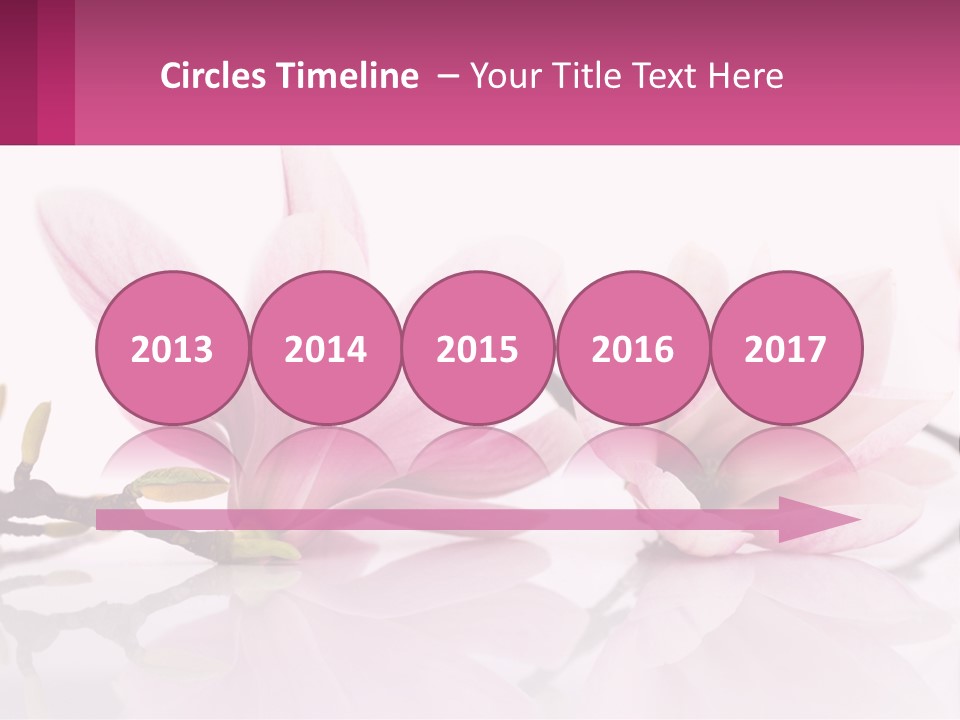 Three Pink Flowers On A White Background With A Pink Border PowerPoint Template