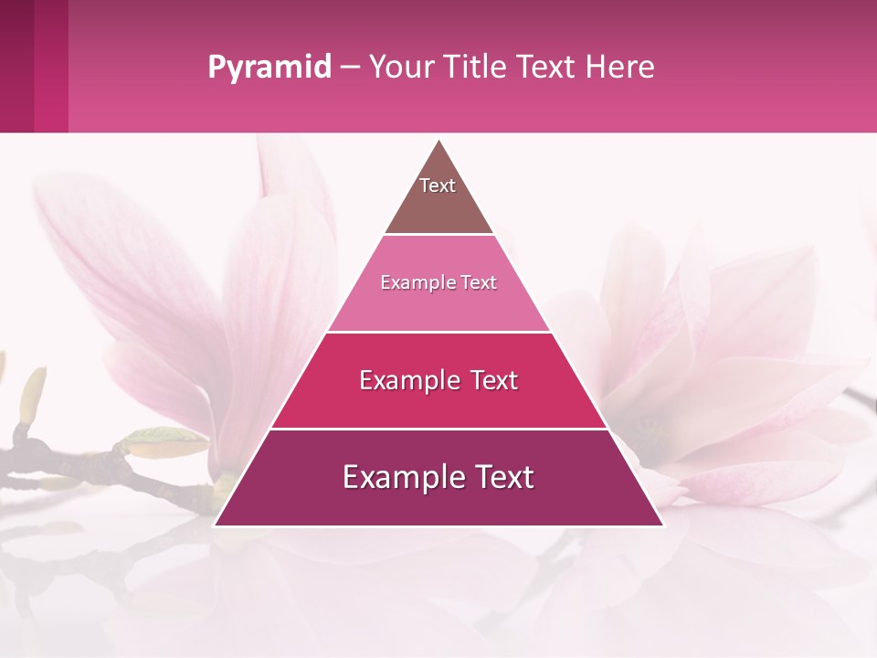 Three Pink Flowers On A White Background With A Pink Border PowerPoint Template