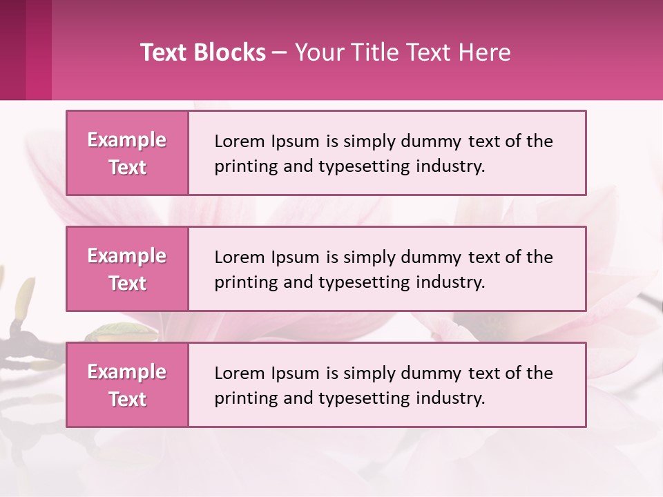 Three Pink Flowers On A White Background With A Pink Border PowerPoint Template